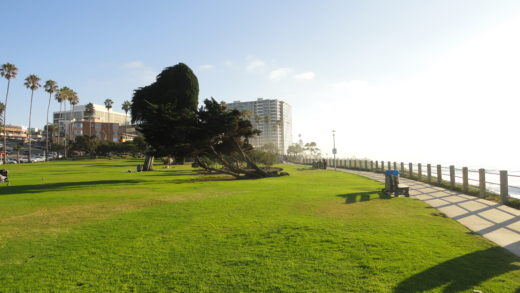 Praia La Jolla em San Diego na Califórnia