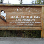 Explorando o Denali National Park no Alasca