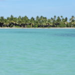 Isla Saona: paraíso pertinho de Punta Cana!