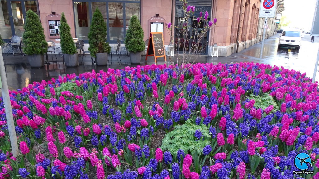 Flores primavera em Lucerna na Suíça