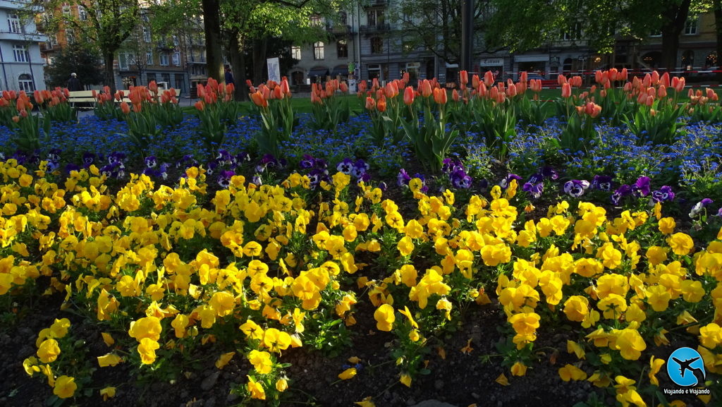 Flores primavera em Lucerna na Suíça