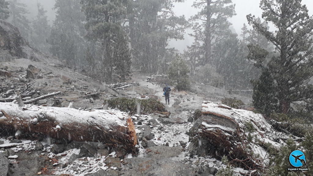 Eagle Falls Trail Lake TAhoe