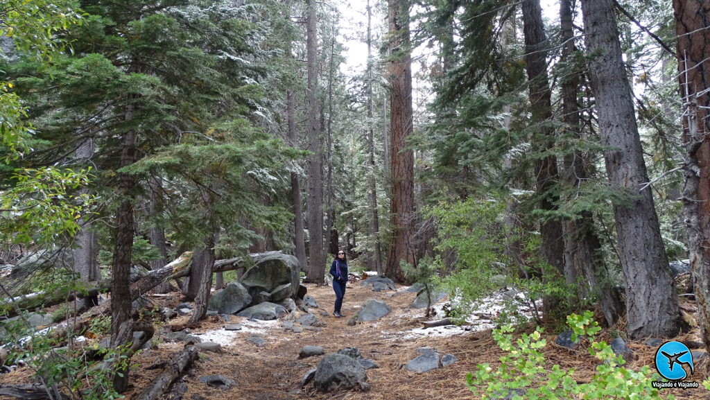 Eagle Falls Trail Lake Tahoe