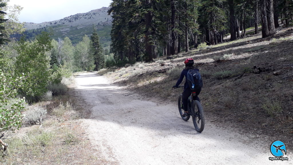 Flume Trail em Lake Tahoe Montain Bike