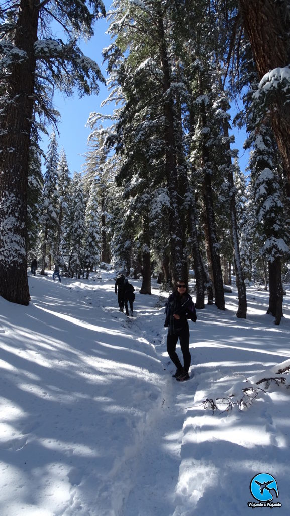 Crystal Lake Trail em Mammoth Lakes