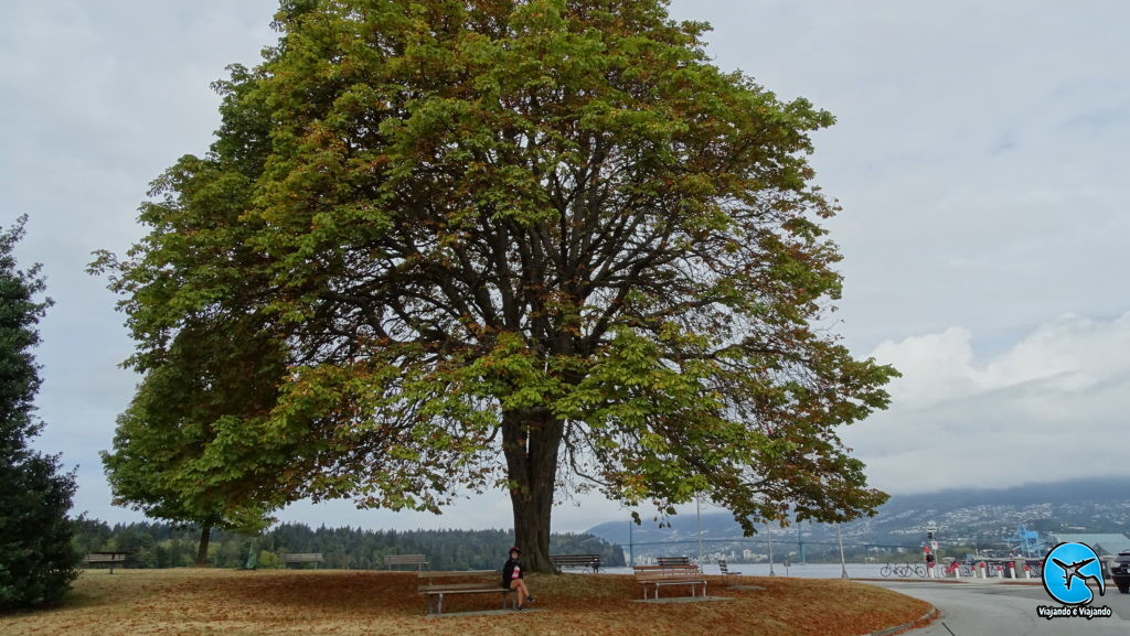 Stanley Park em Vancouver