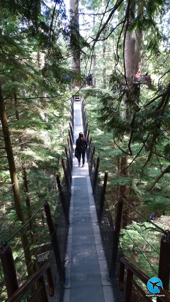 Tree top adventure in Capilano Suspension Bridge Park in Vancouver