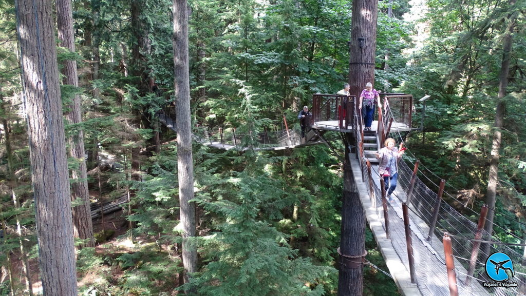 Tree Top Adventure in Capilano Suspension Bridge Park in Vancouver