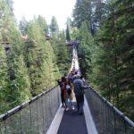 Capilano Suspension Bridge em Vancouver: atração imperdível!