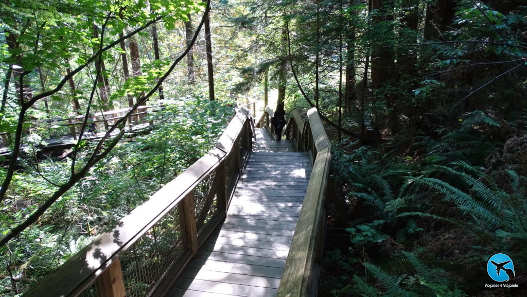 Capilano Suspension Bridge Park in Vancouver