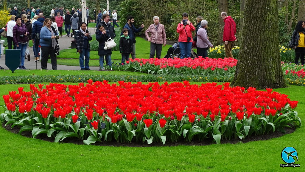 Keukenhof Holland Amsterdam