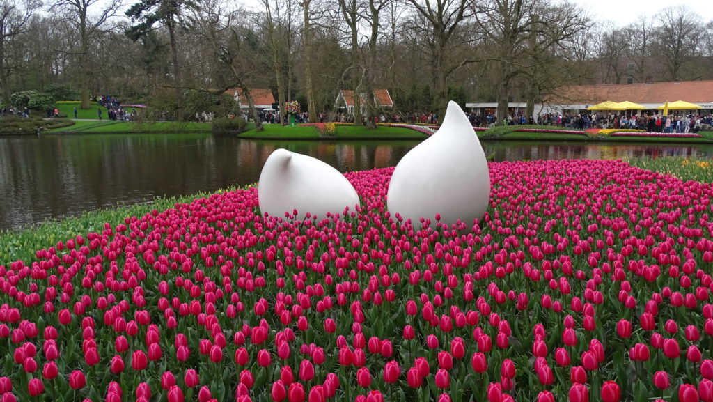 Keukenhof Holland Amsterdam