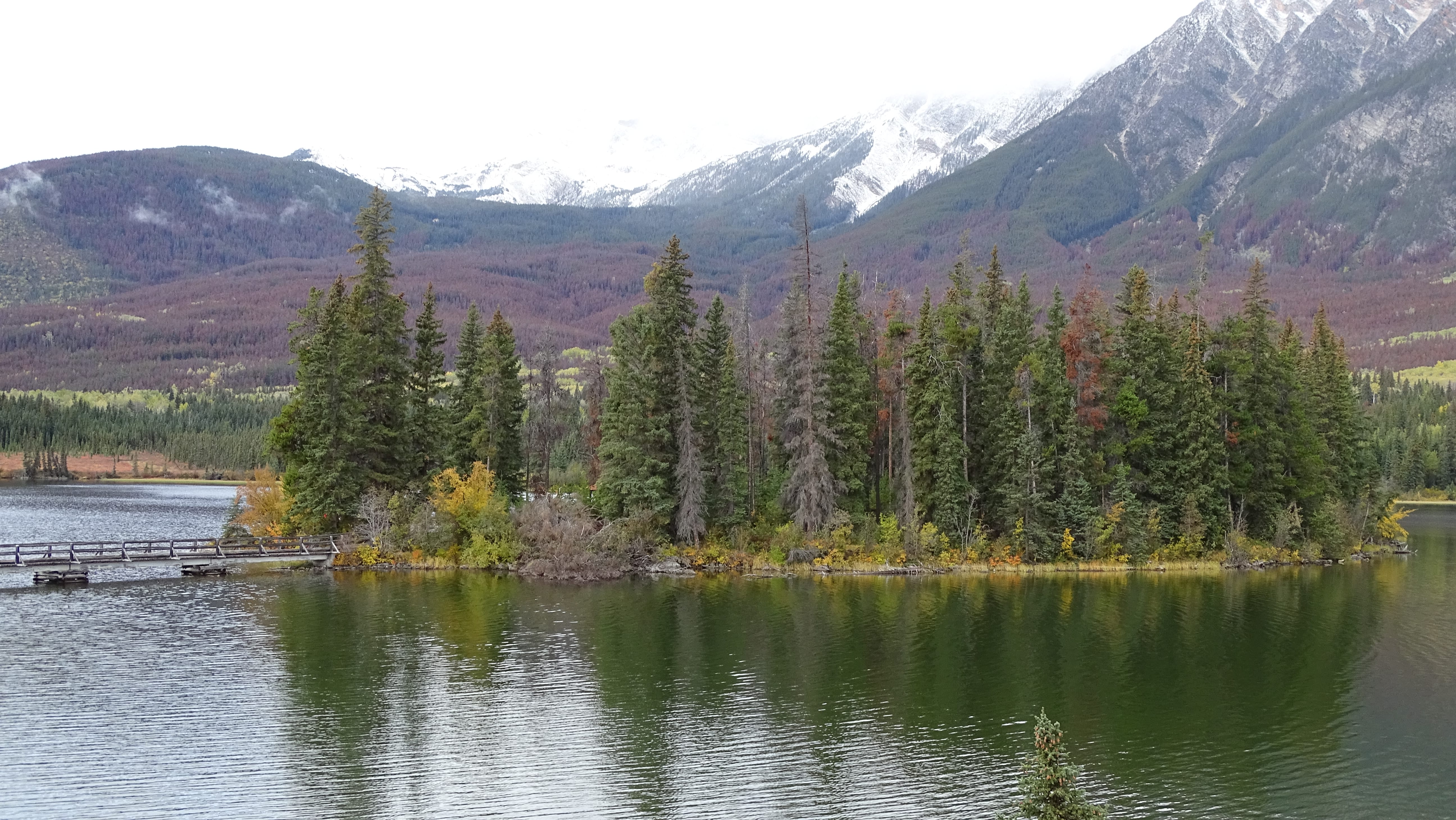 Pyramid Island Jasper